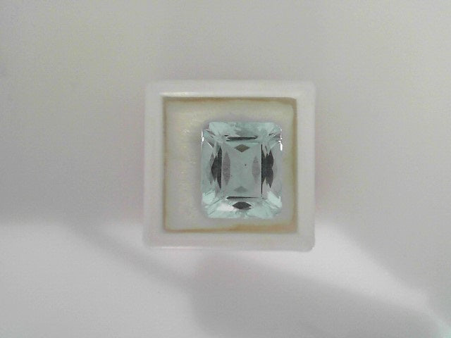 Loose Colored Stones/Pearl