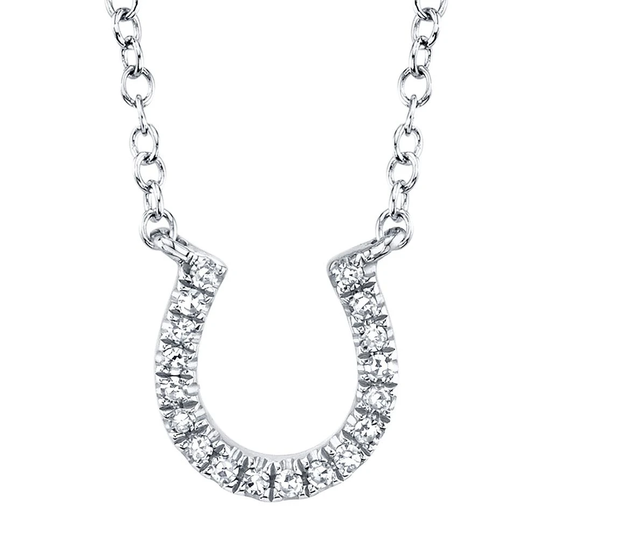 14 Karat White Gold Horseshoe Diamond Necklace